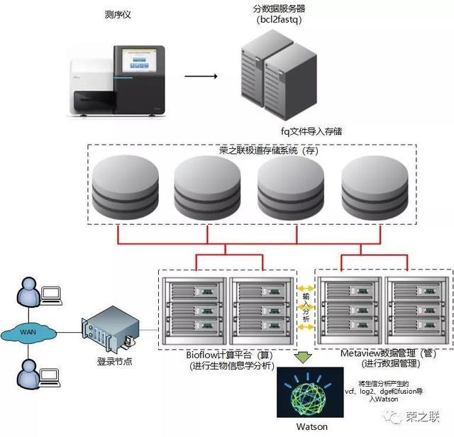 基因检测分析服务正式上线 荣之联为菩提慧生医学检验所注入数据处理新动能