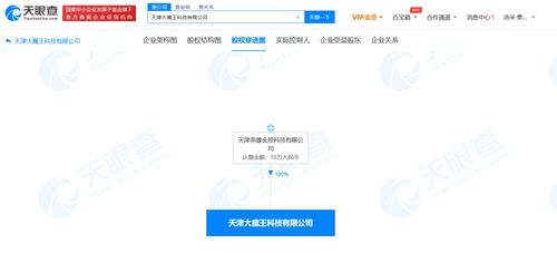软件开发 从构思到实现的创新之旅